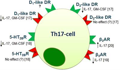 Th17-cells in depression: Implication in multiple sclerosis